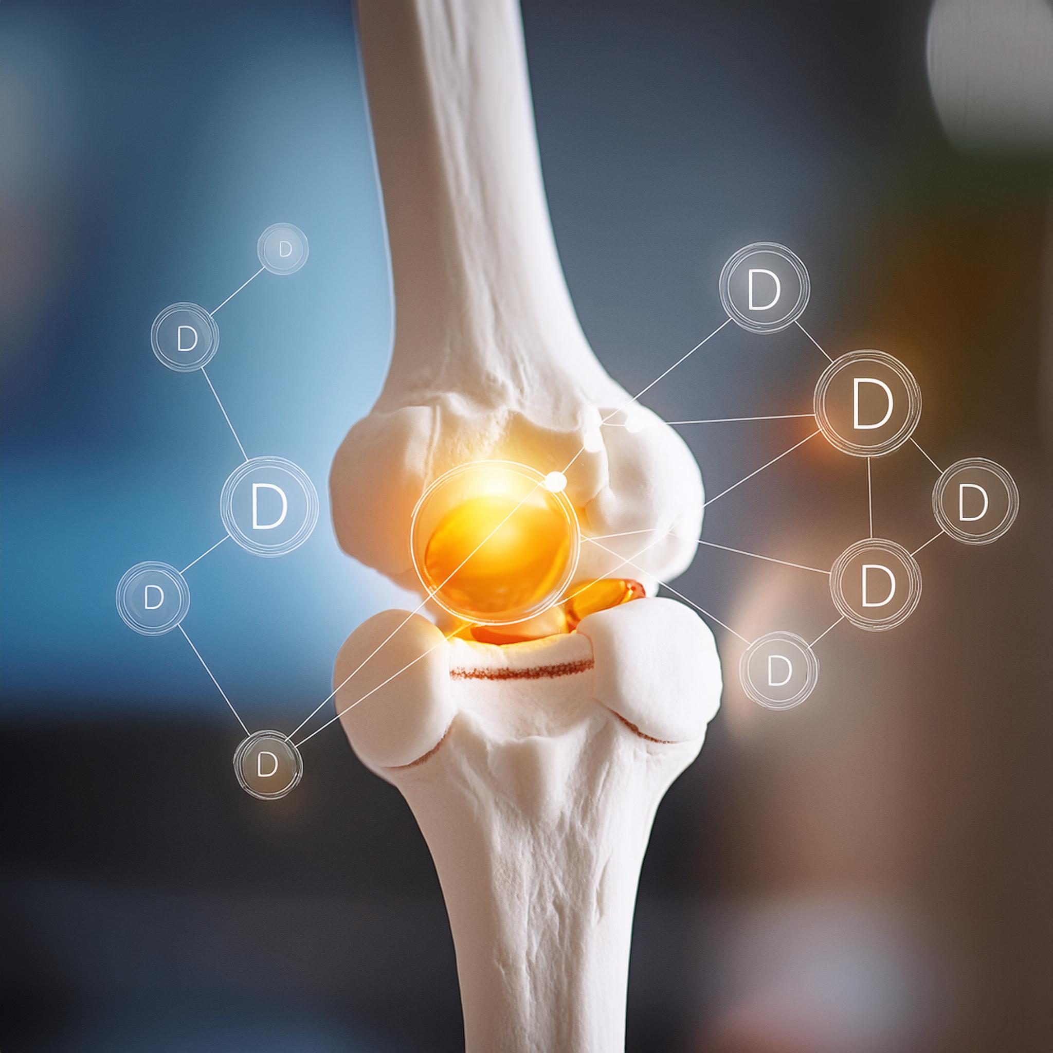 human bone detail with a D vitamin https://soligamma.bg/wp-content/uploads/2024/12/human-bone-detail-with-a-D-vitamin-.jpg